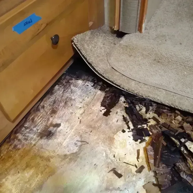 Best Wood Floor Water Damage Service in Parkville, PA